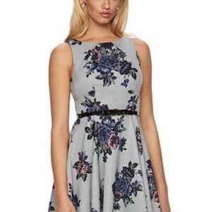 Elle Floral Midi Fit and Flare Dress in Gray, Blue and Pink